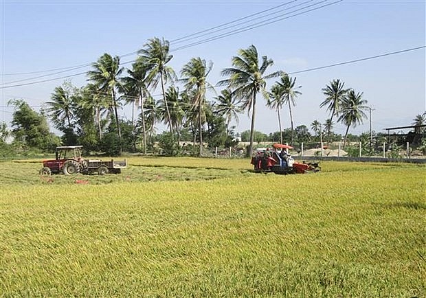 Vietnam and EU Boost Cooperation in Agriculture