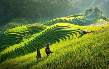 Vietnam News Today (Jun 7): Vietnam Nominated in 10 Categories at World Travel Awards 2022