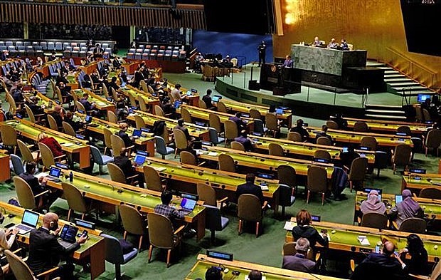A meeting of the UN General Assembly in New York on March 1, 2022. Photo: AFP/VNA
