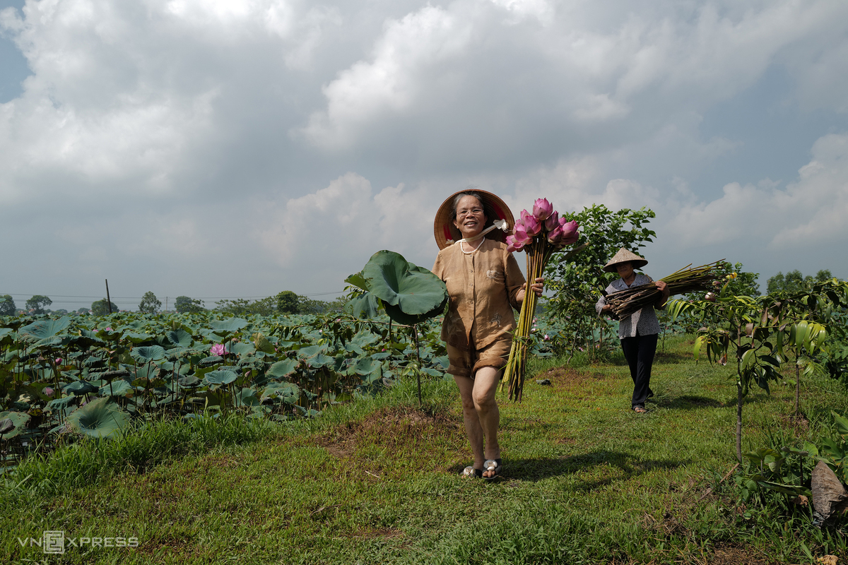 Vietnamese Artisan Weaves New Lotus Silk