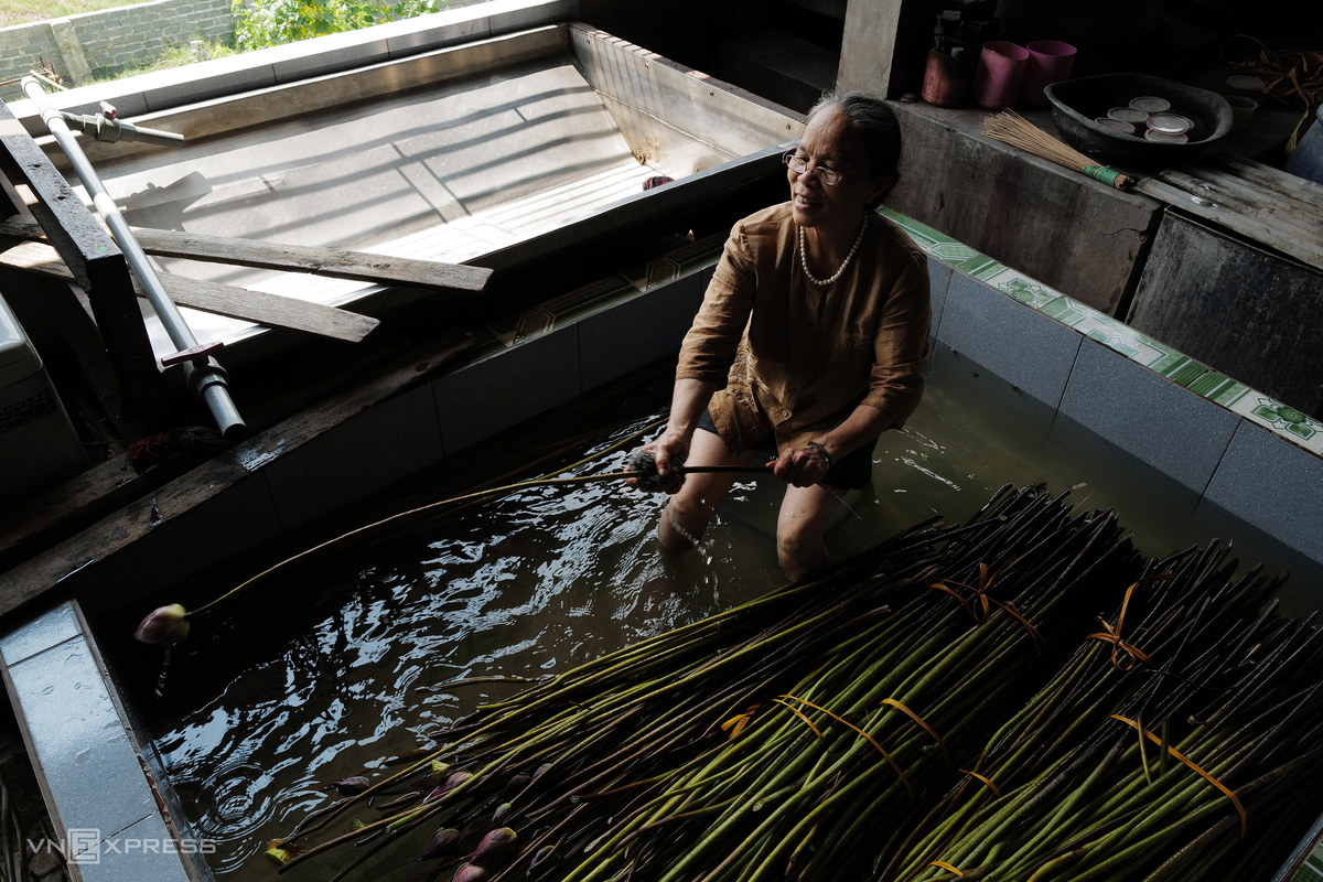 Vietnamese Artisan Weaves New Lotus Silk