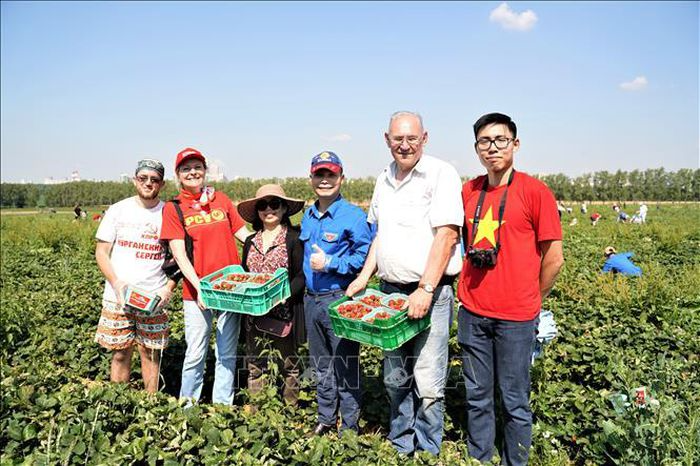 Vietnamese Students Participate in International Volunteering Program in Moscow