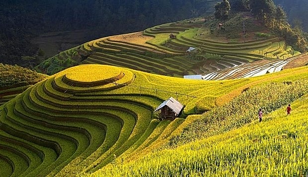 Terraced fields in the northern province of Ha Giang. Photo: VietnamPlus