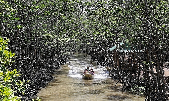 Tourists join a boat tour inside a mangrove forest in HCMC's Can Gio District, July 2020. Photo: VnExpress