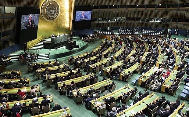 At a meeting of the UN. Photo: VNA