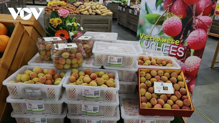 Some Vietnamese fruits such as litchees and durians have been exported to Australia. Photo: Some Vietnamese fruits such as litchees and durians have been exported to Australia. Photo: Some Vietnamese fruits such as litchees and durians have been exported to Australia. Photo: VOV
