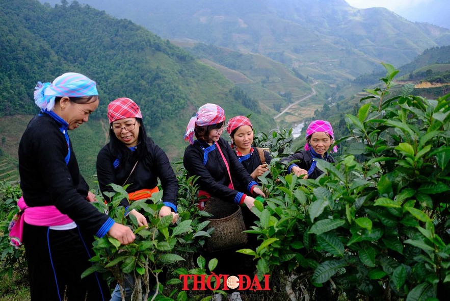Vietnam's Community-based Tourism Overcomes New Challenges in Post-Covid-19 Era