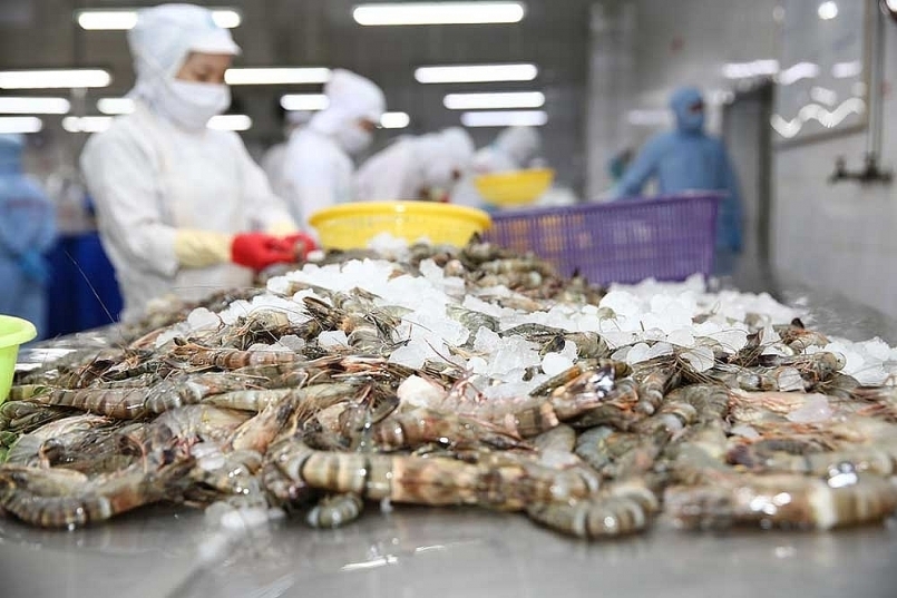 160 tonnes of shrimp exports leave port to EU, US and Japan