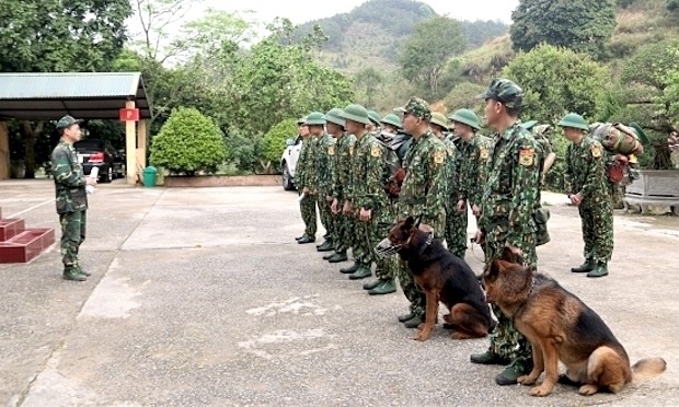 trained dogs used to prevent illegal entry to vietnam from china amid covid 19 combat