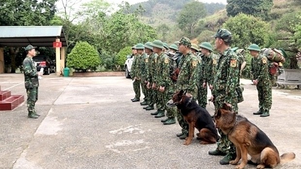 Trained dogs used to prevent illegal entry to Vietnam from China amid COVID-19 combat