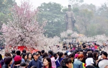japan cherry blossom festival hanoi 2020 cancelled