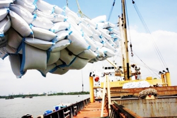 bangladesh to import 50000 tons of rice from vietnam