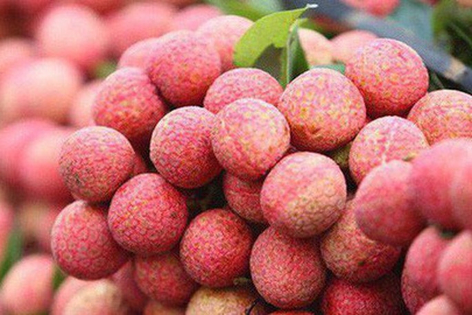 Vietnamese Thieu lychee granted certificate of geographical indication in Japan