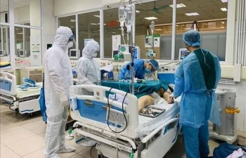 10 vietnamese offer lung donations for british covid 19 patient