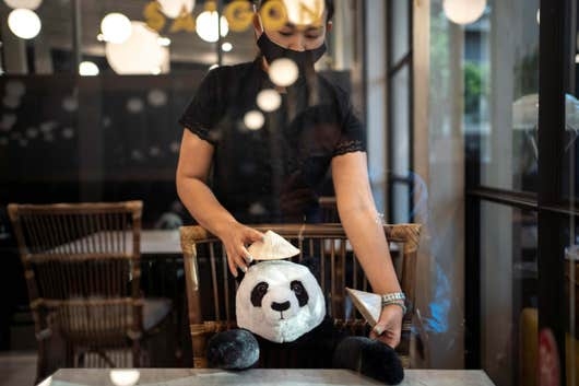 panda dolls cheer up thai diners amid social distancing