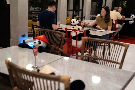 panda dolls cheer up thai diners amid social distancing