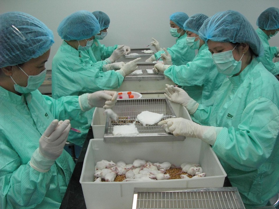 vietnam to continue testing covid 19 vaccine on mice