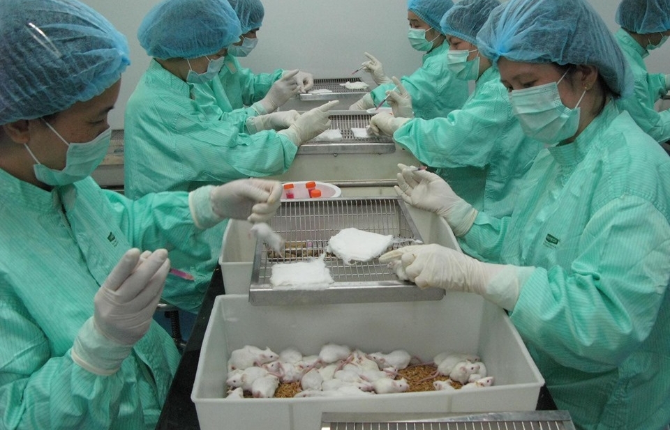 Vietnam to continue testing COVID-19 vaccine on mice