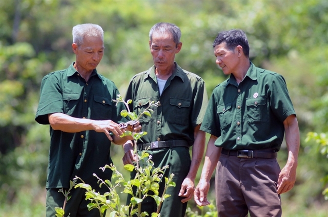 veteran leaves battlefield for success in farming fields