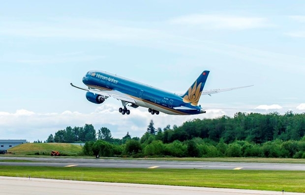 vietnam airlines resumes all domestic flights