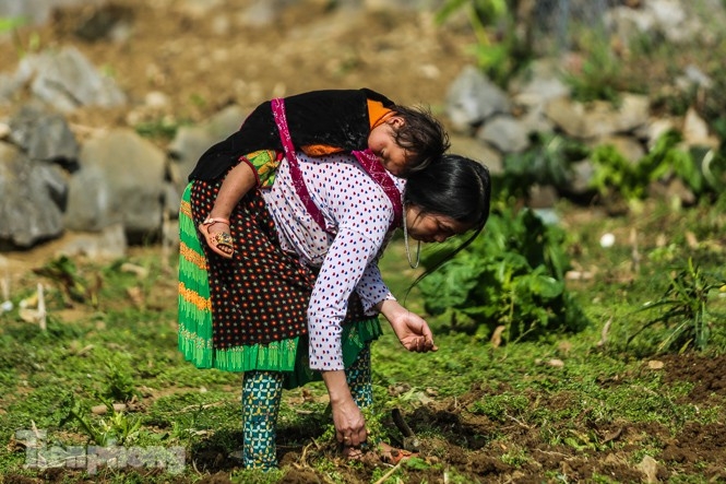 beautiful photos of upland children in vietnam