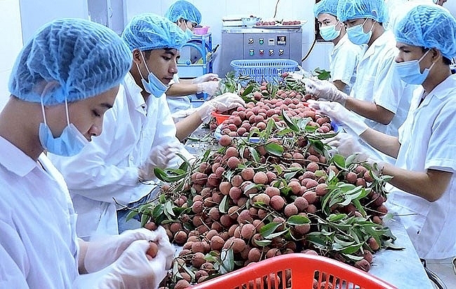 Vietnam’s agricultural exports skyrocket