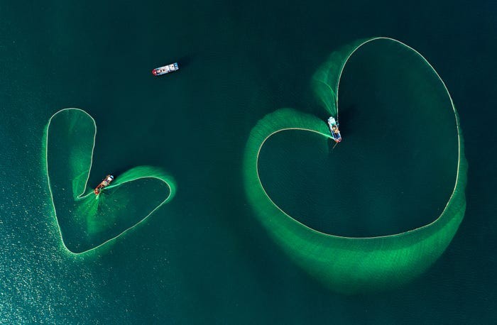 4 photos by vietnamese authors in list of world best photos 2019