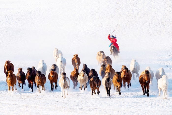 4 photos by vietnamese authors in list of world best photos 2019