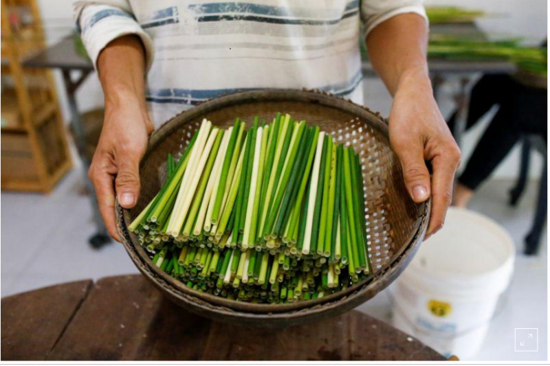 vietnamese grass is greener in battle against plastic straws