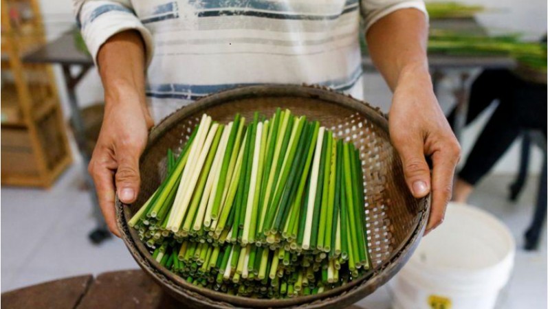 Vietnamese grass is greener in battle against plastic straws
