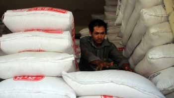 Rice exports: Cambodia surge
