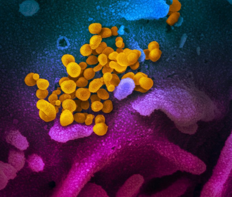 nih new coronavirus can persist in air for hours and on surfaces for days