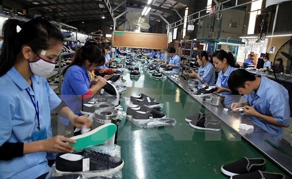 vietnamese leather and footwear sector yearns for evfta incentives