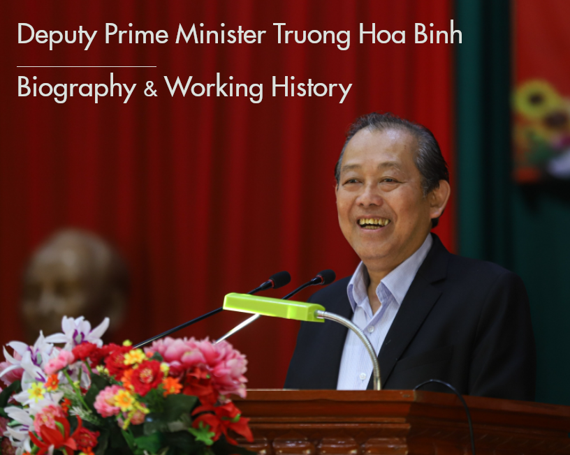 Deputy Prime Minister Truong Hoa Binh: Biography, Positons and Working History