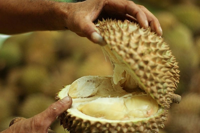 Durian fruit hospitalises six and forces evacuation in Germany