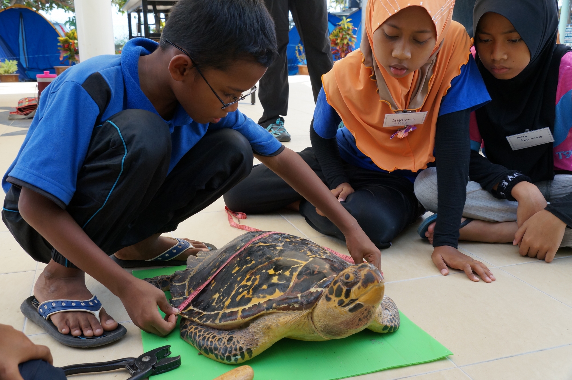 3325 3wwf malaysia marine programme