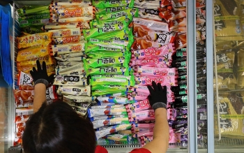 cultural wave of hallyu boosts demand for korean ice cream in vietnam
