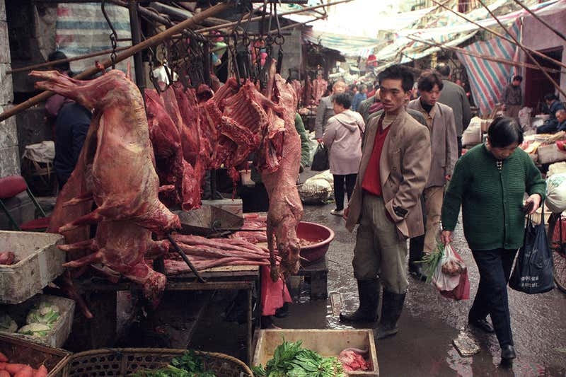 vietnam bans wildlife trade to reduce risk of pandemics