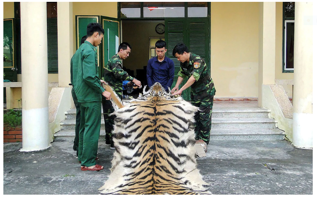 vietnams new ban on illegal wildlife trade and consumption welcomed by international community