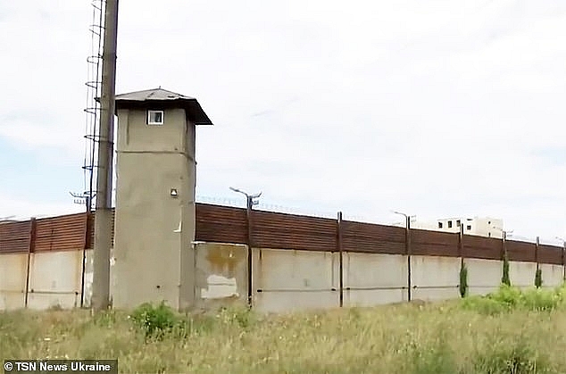 51-year-old mom digs tunnel to free son from prison