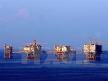 vietsovpetro targets 51 million tonnes of crude oil in 2015