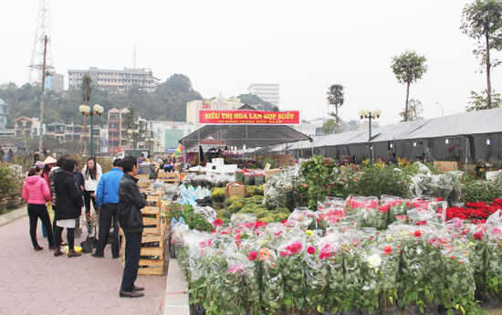 ha long spring flower festival 2016