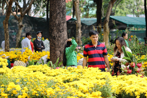 over 130 spring flower markets to blossom in southern hub