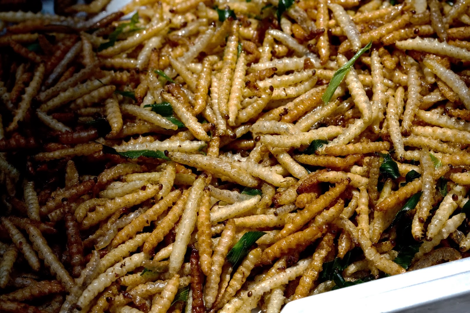 Savouring rare dish of bamboo worm in Vietnam