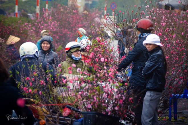 quang ba flower market among 15 places to celebrate lunar new year