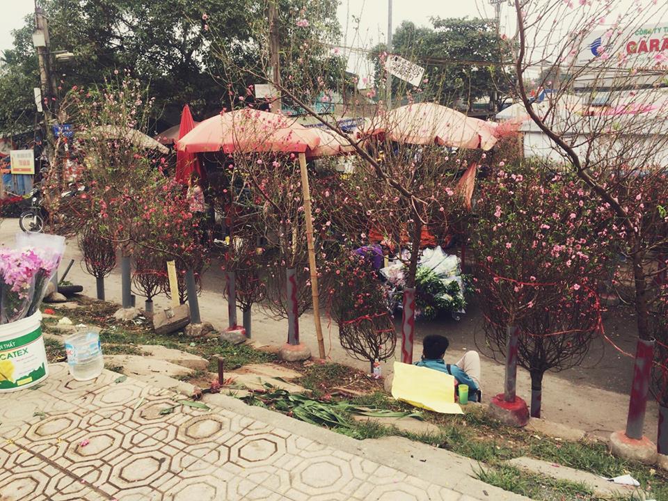 Quang Ba flower market among 15 places to celebrate Lunar New Year