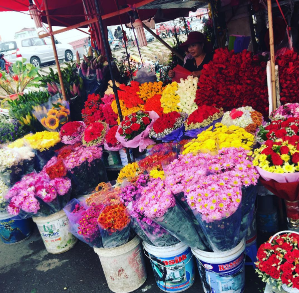 Quang Ba flower market among 15 places to celebrate Lunar New Year