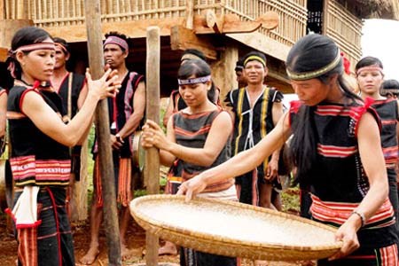 new rice celebration unique to jrai people in central highlands