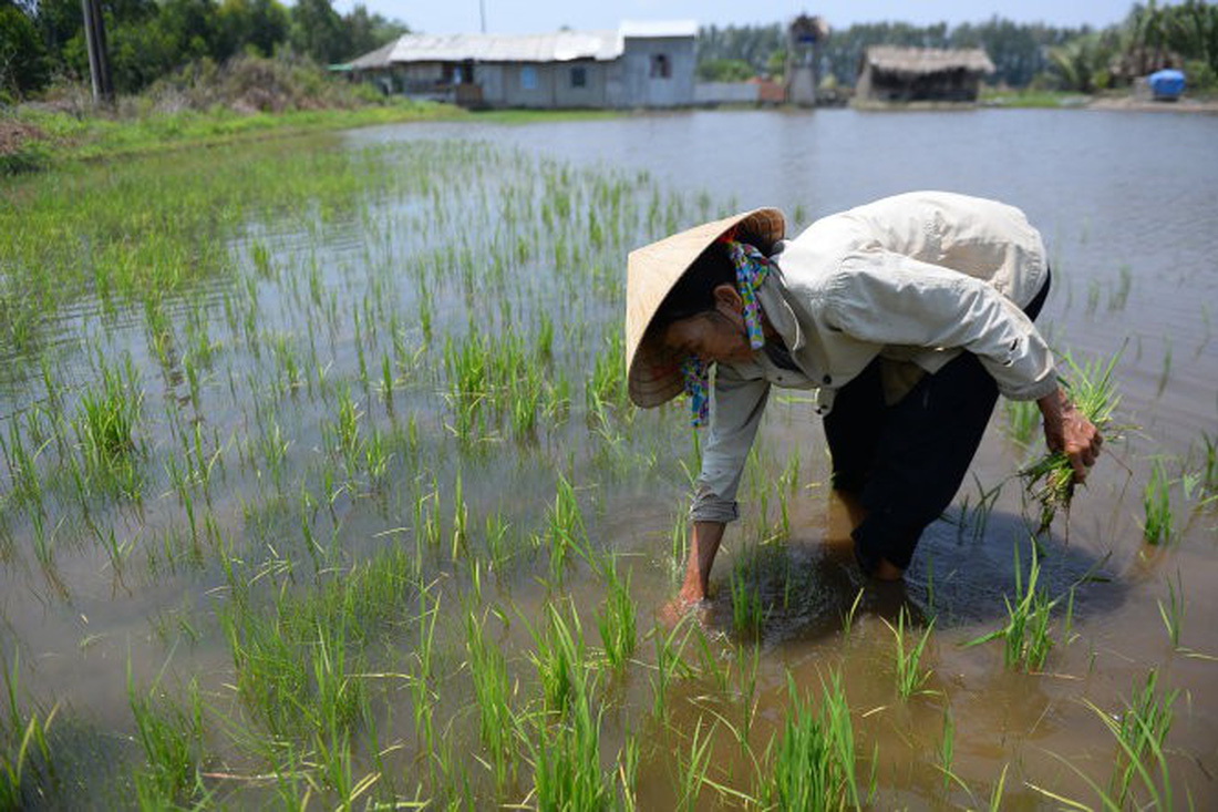 Vietnam’s Mekong Delta residents internally migrate due to climate ...