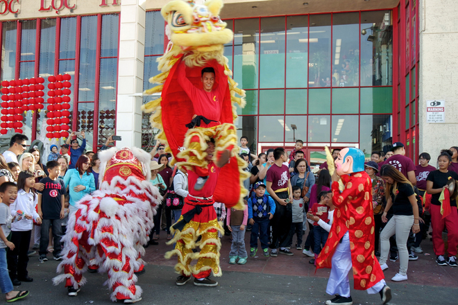 colourful flower market at lunar new year in little saigon